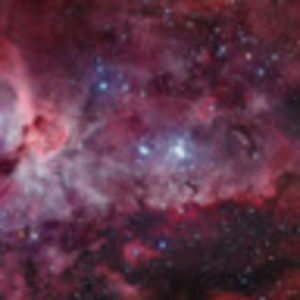 Meet your Posher, Anastasiia